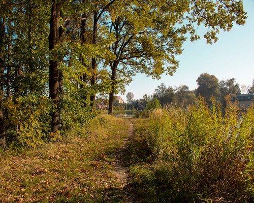 A pathway through urban greenery with autumn leaves and clear crisp air illustrating a light walk